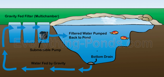 diagram of a pond
