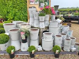 plant pot collection